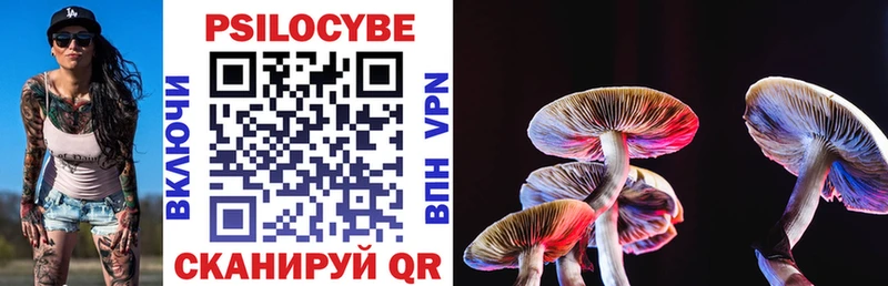 Галлюциногенные грибы Cubensis  Купить где  Карпинск 